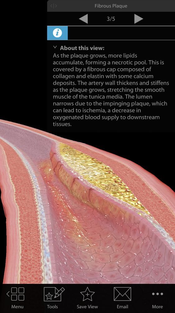 Physiology & Pathology screenshot 3