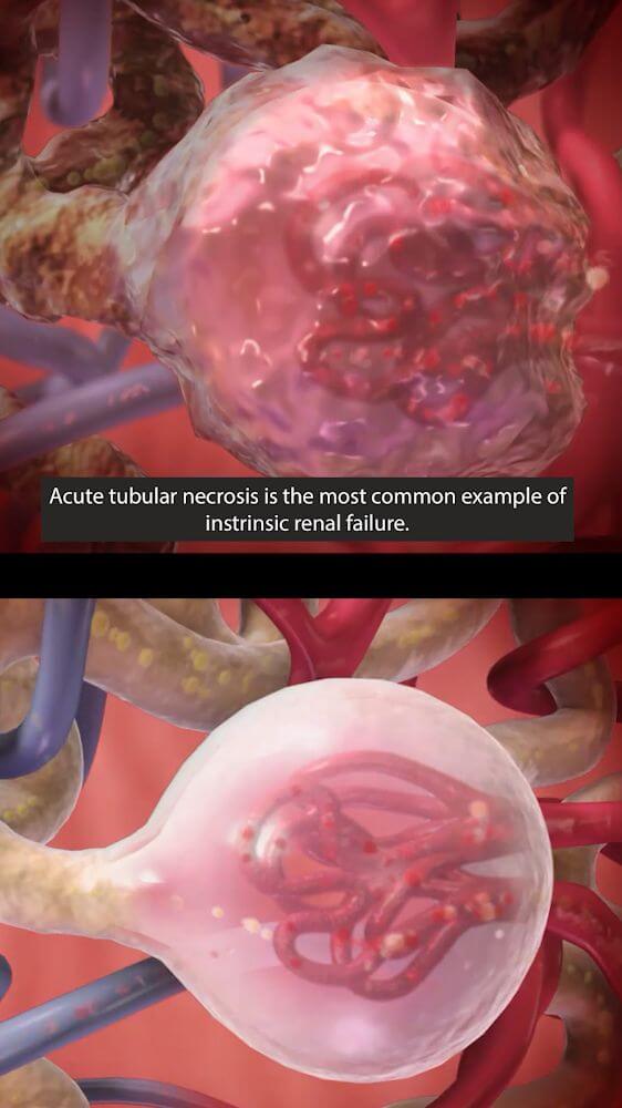 Physiology & Pathology screenshot 4