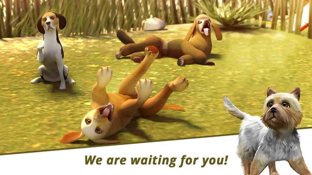 Dog Hotel screenshot 4