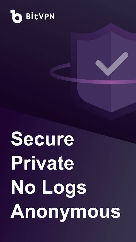 BitVPN screenshot 2