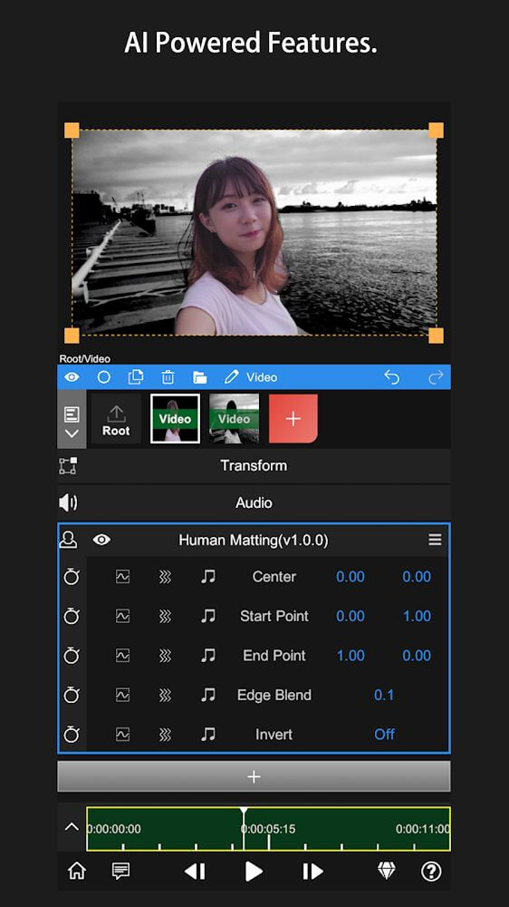 Node Video screenshot 7