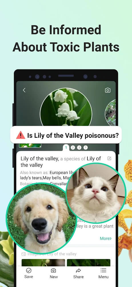 PictureThis screenshot 4