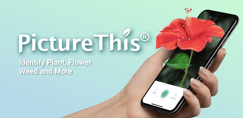 PictureThis screenshot 1