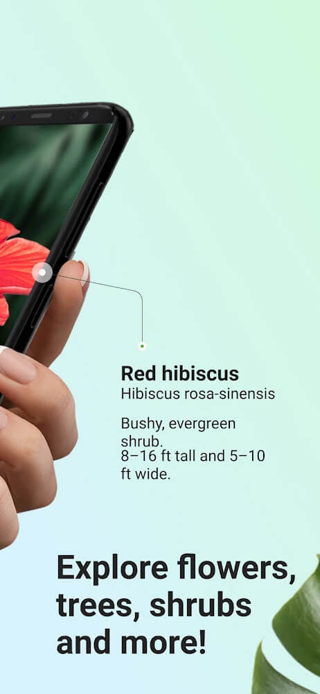 PictureThis screenshot 3