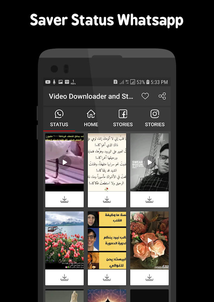 Video Downloader and Stories screenshot 5