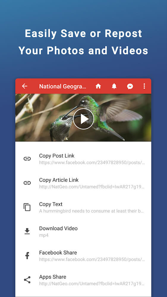 Friendly Social Browser screenshot 5
