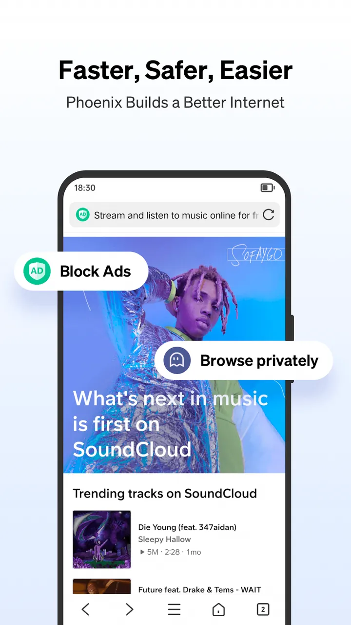 Phoenix Browser screenshot 3