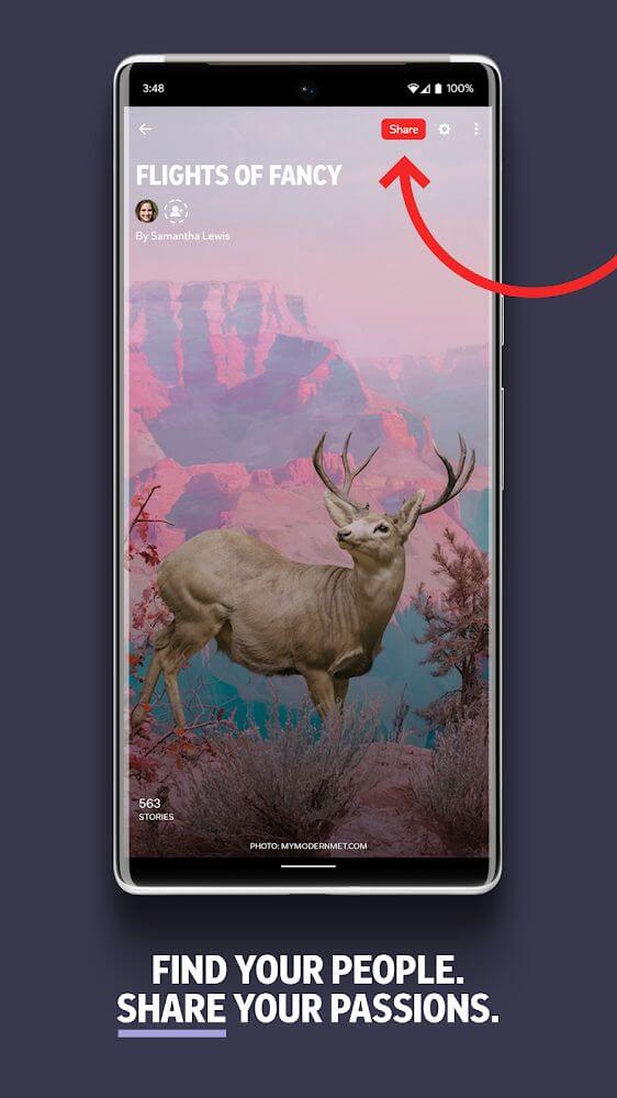 Flipboard screenshot 6