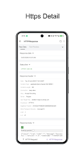 HTTP Sniffer preview 5