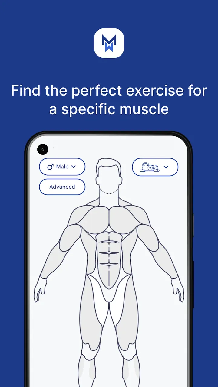 MuscleWiki screenshot 2