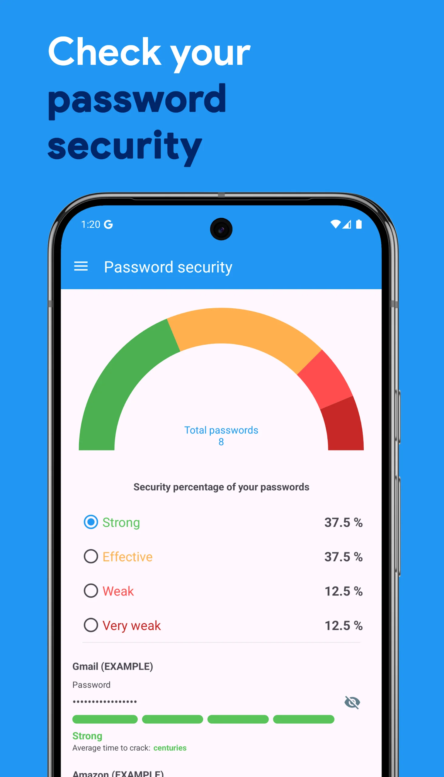 Password Manager app interface preview 4
