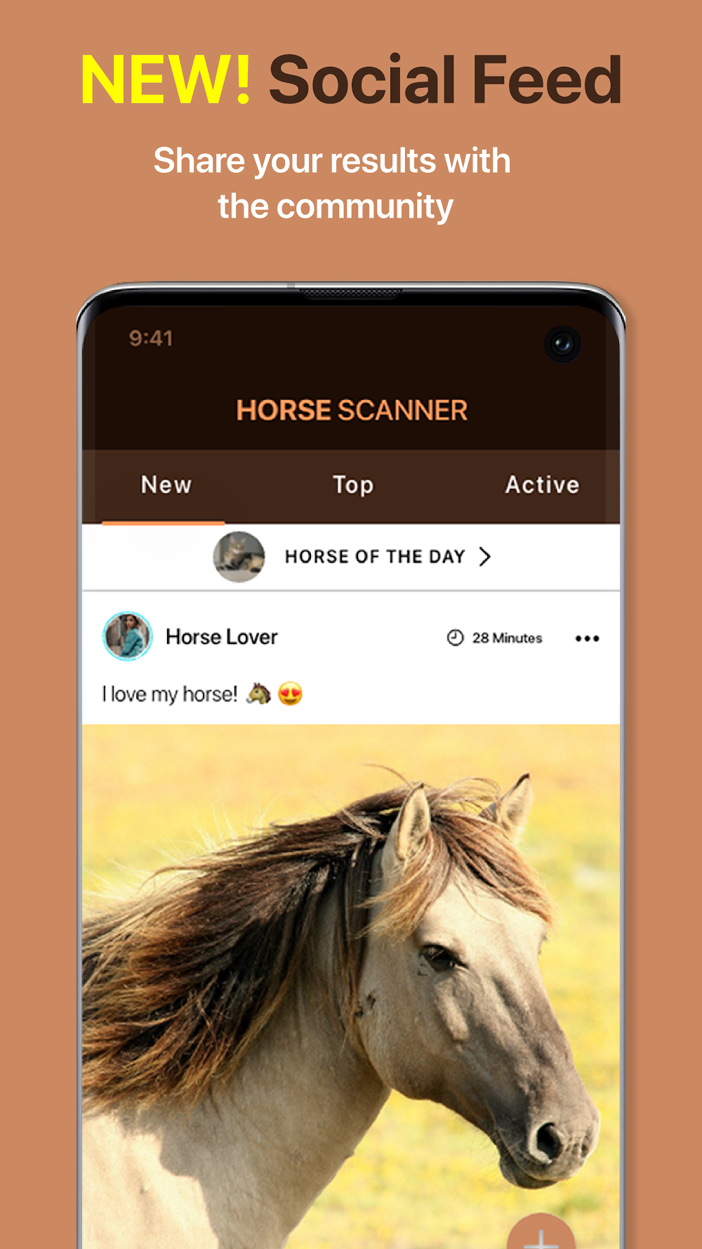 Horse Scanner screenshot 5
