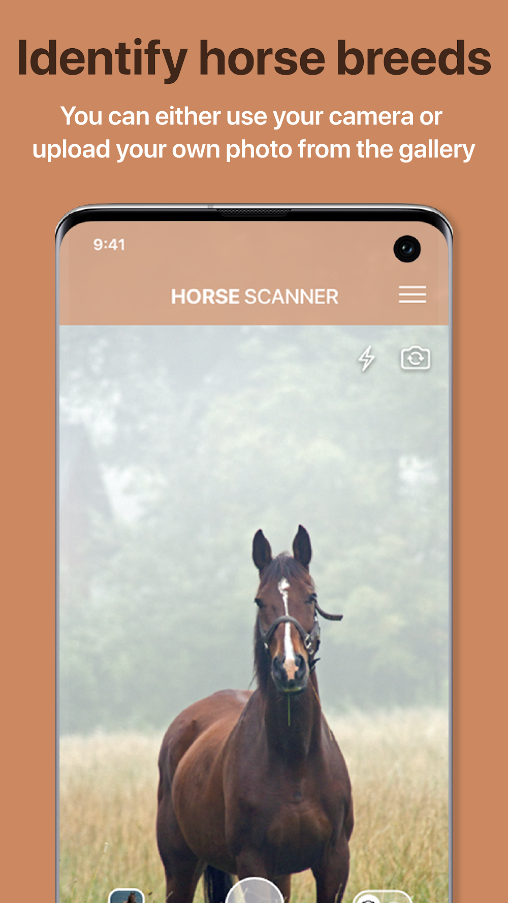 Horse Scanner screenshot 2
