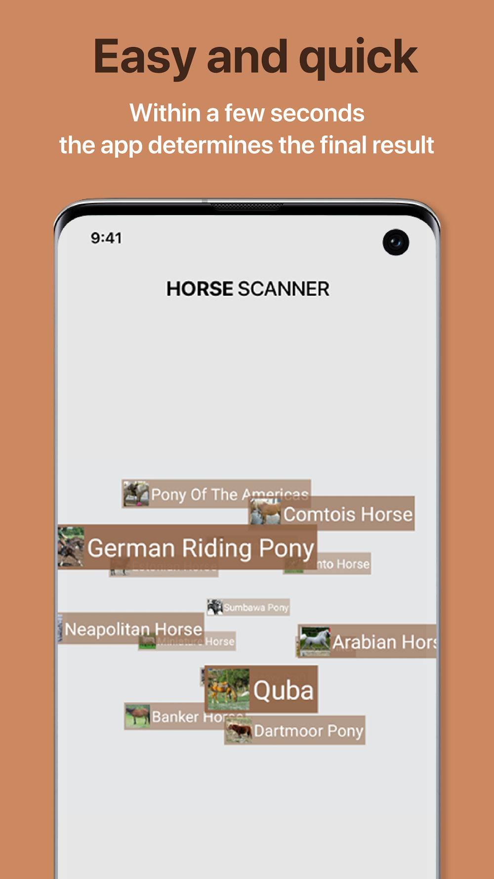Horse Scanner screenshot 3