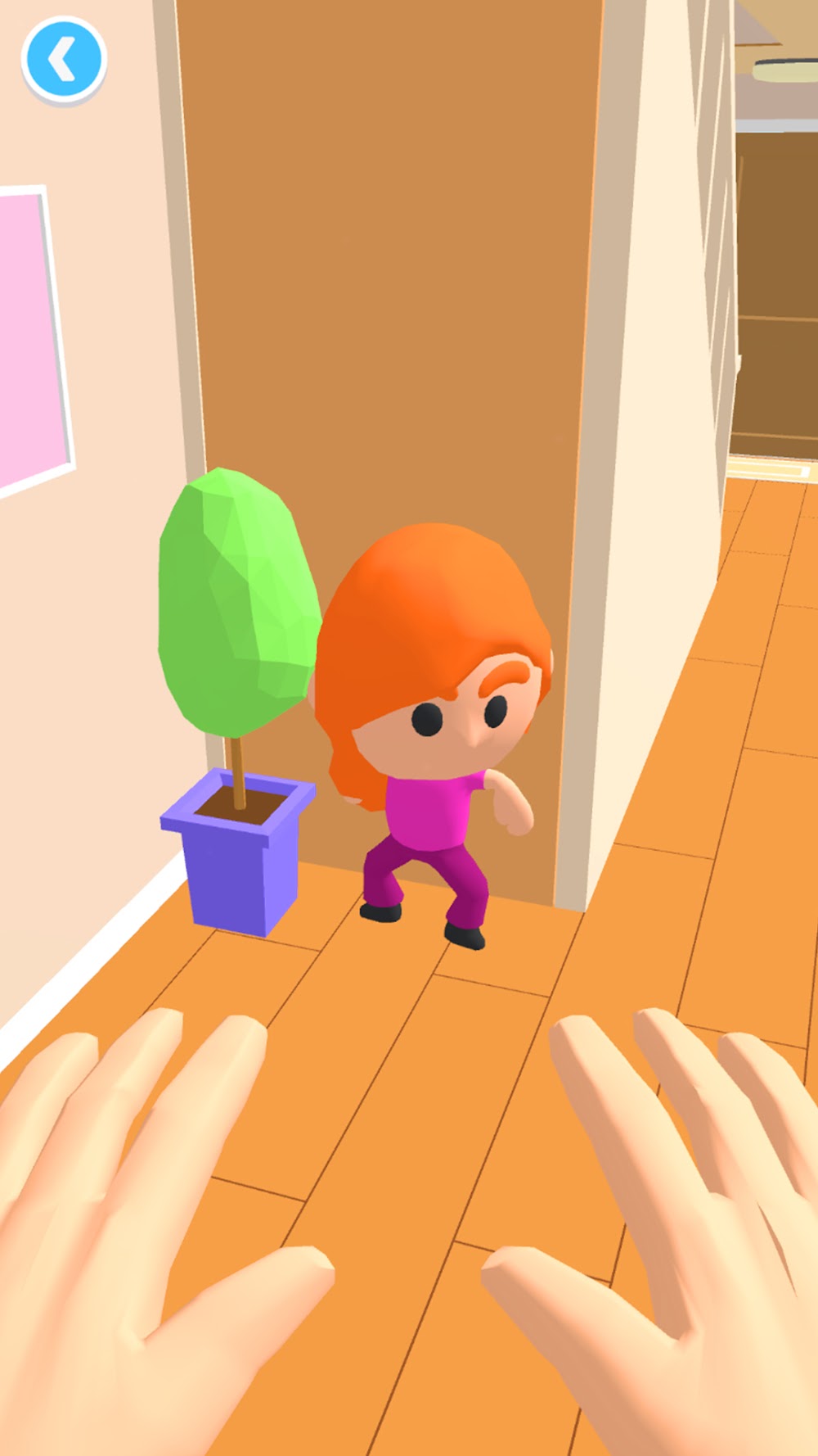 Hide N' Seek 3D screenshot 4
