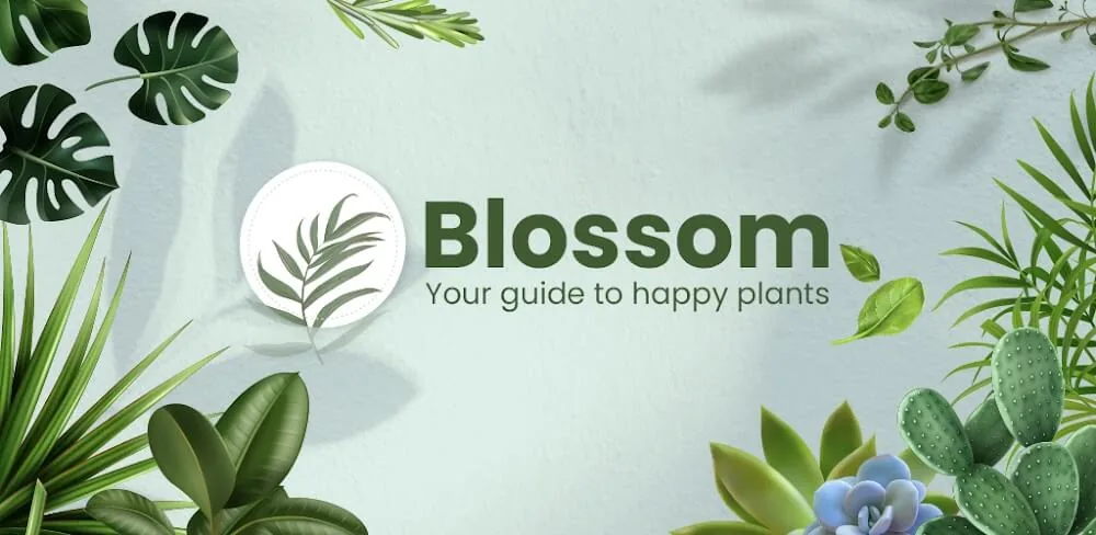Blossom screenshot 1