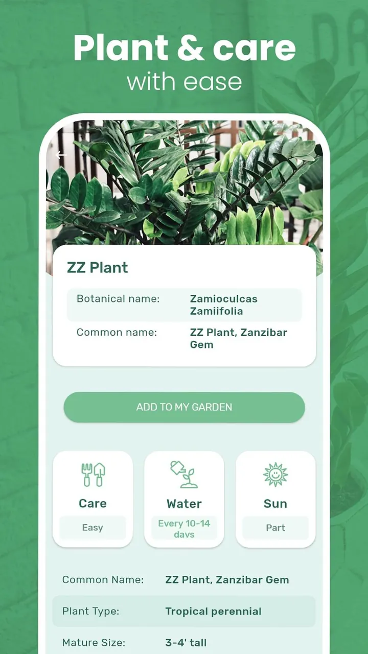 Blossom screenshot 5