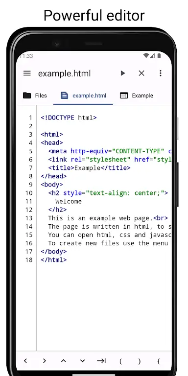 Code Studio screenshot 2