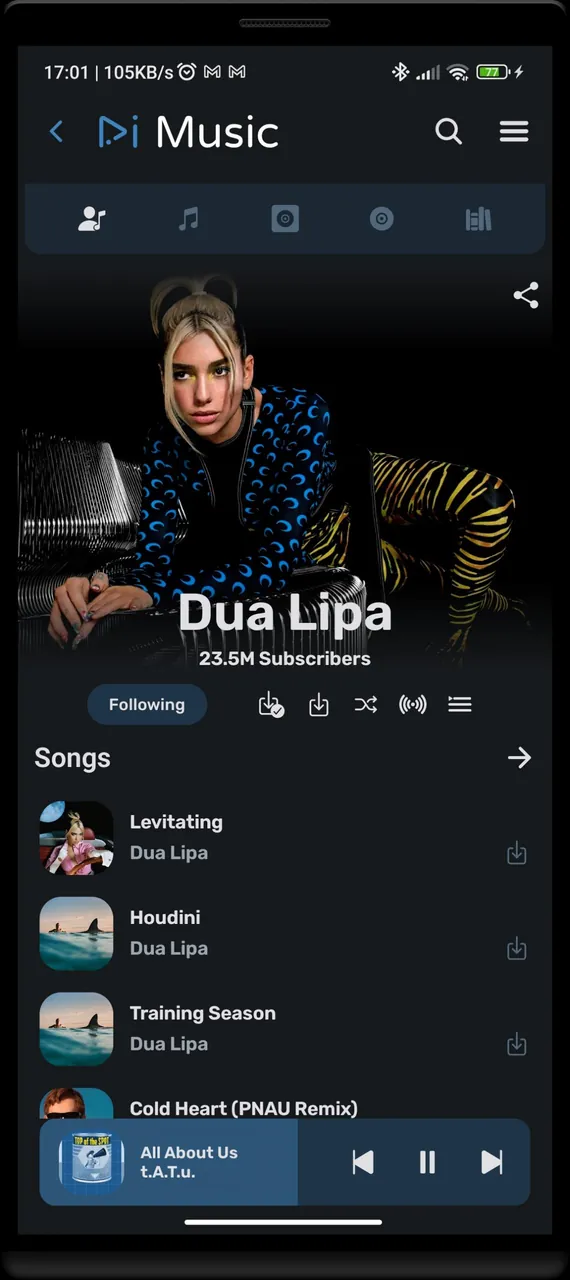 RiMusic screenshot 5