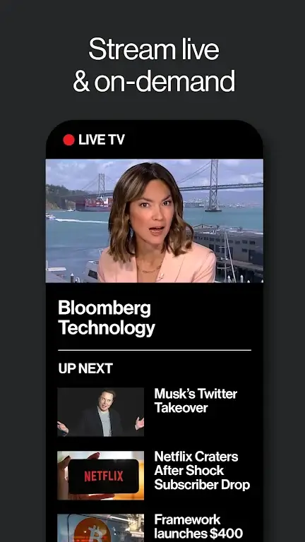 Bloomberg screenshot 2