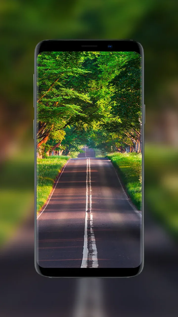 Nature Wallpapers - BlissView screenshot 6