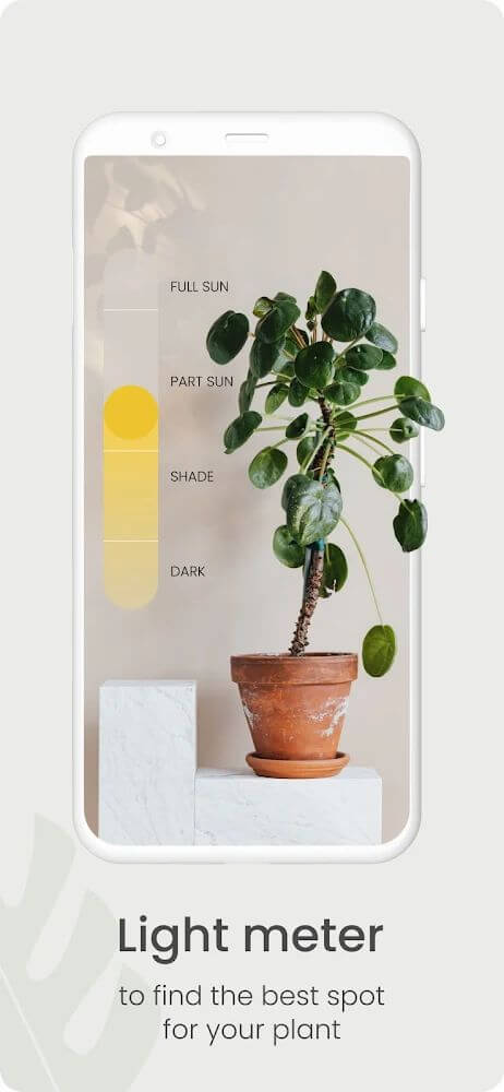 Planta screenshot 7