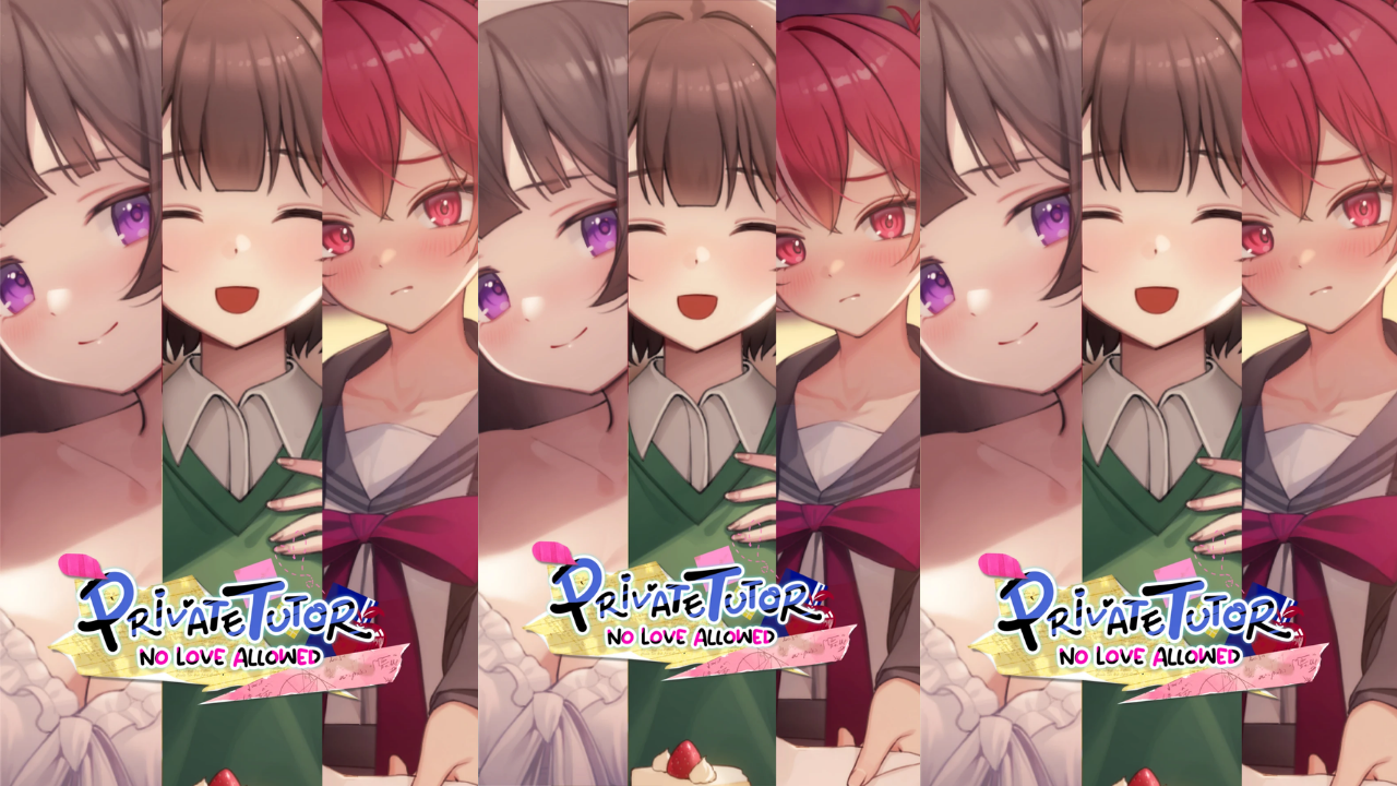 Private Tutor, No Love Allowed screenshot 1