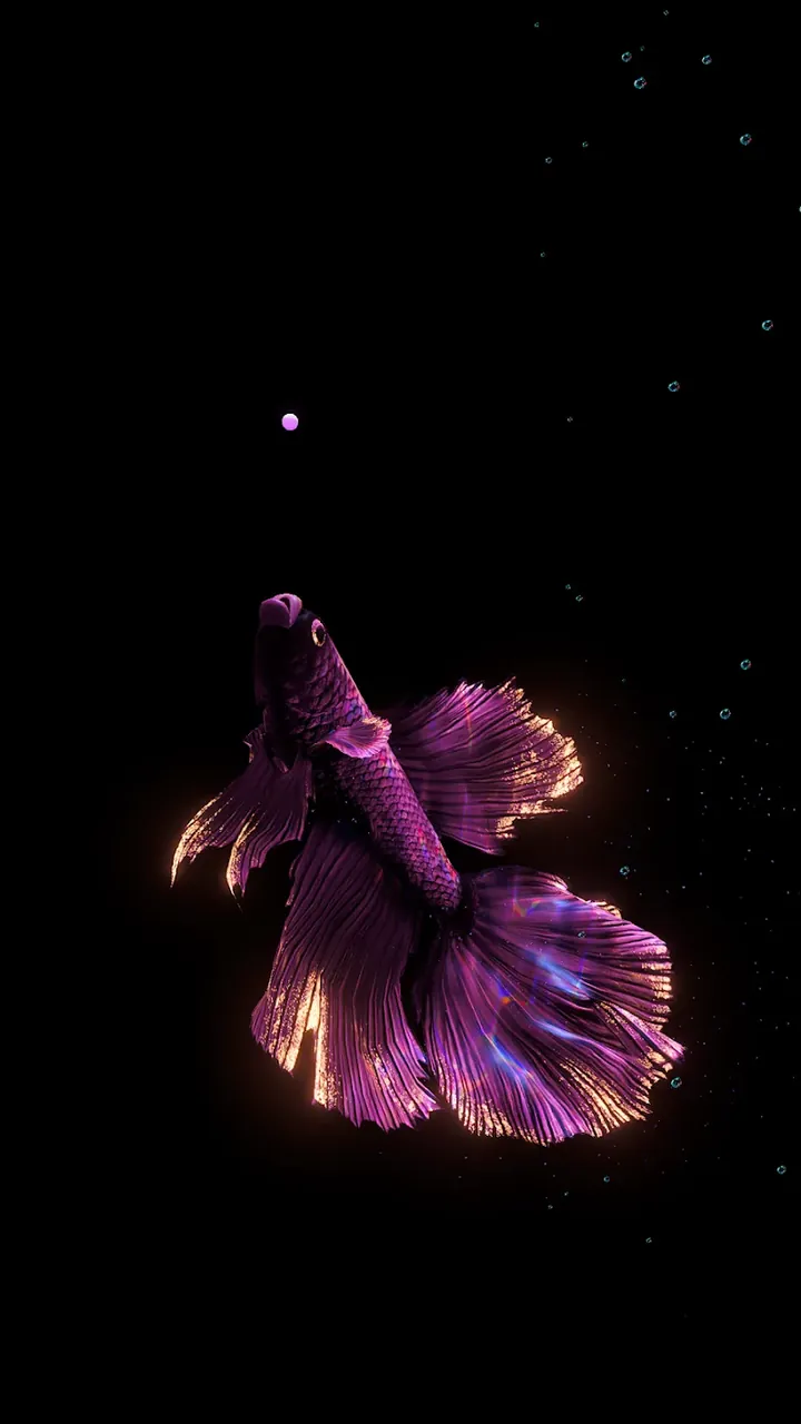 BETTA 120Hz screenshot 5