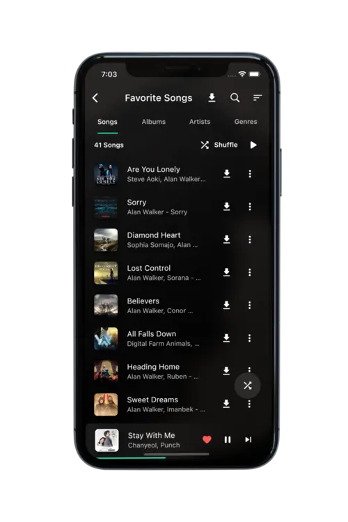 BlackHole Music screenshot 5