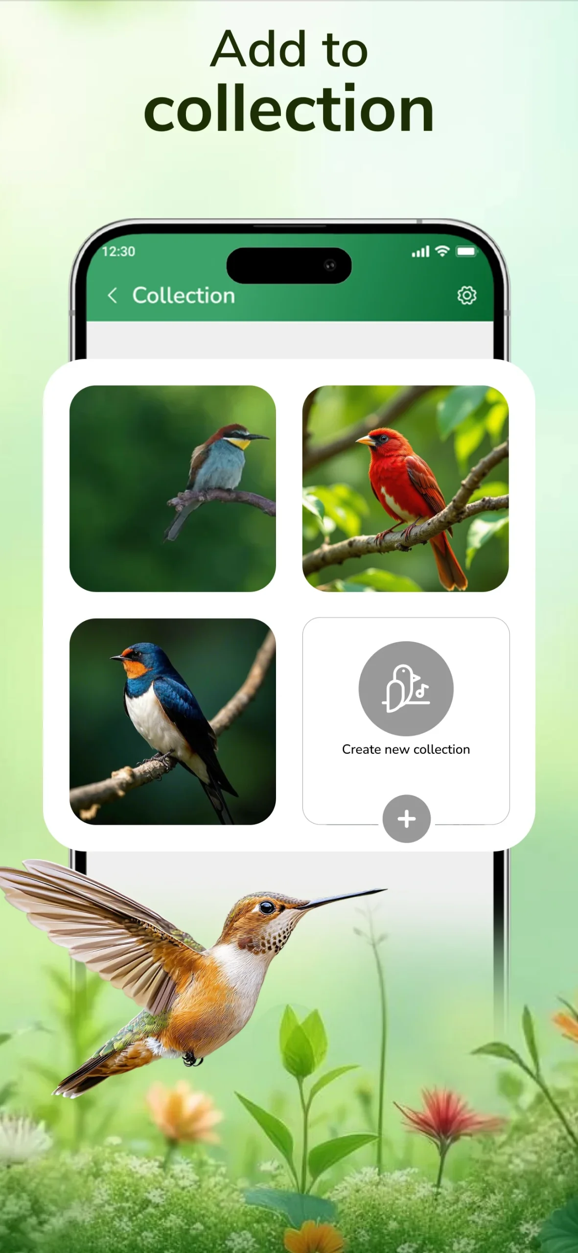 Bird Sounds & Bird Identifier screenshot 4