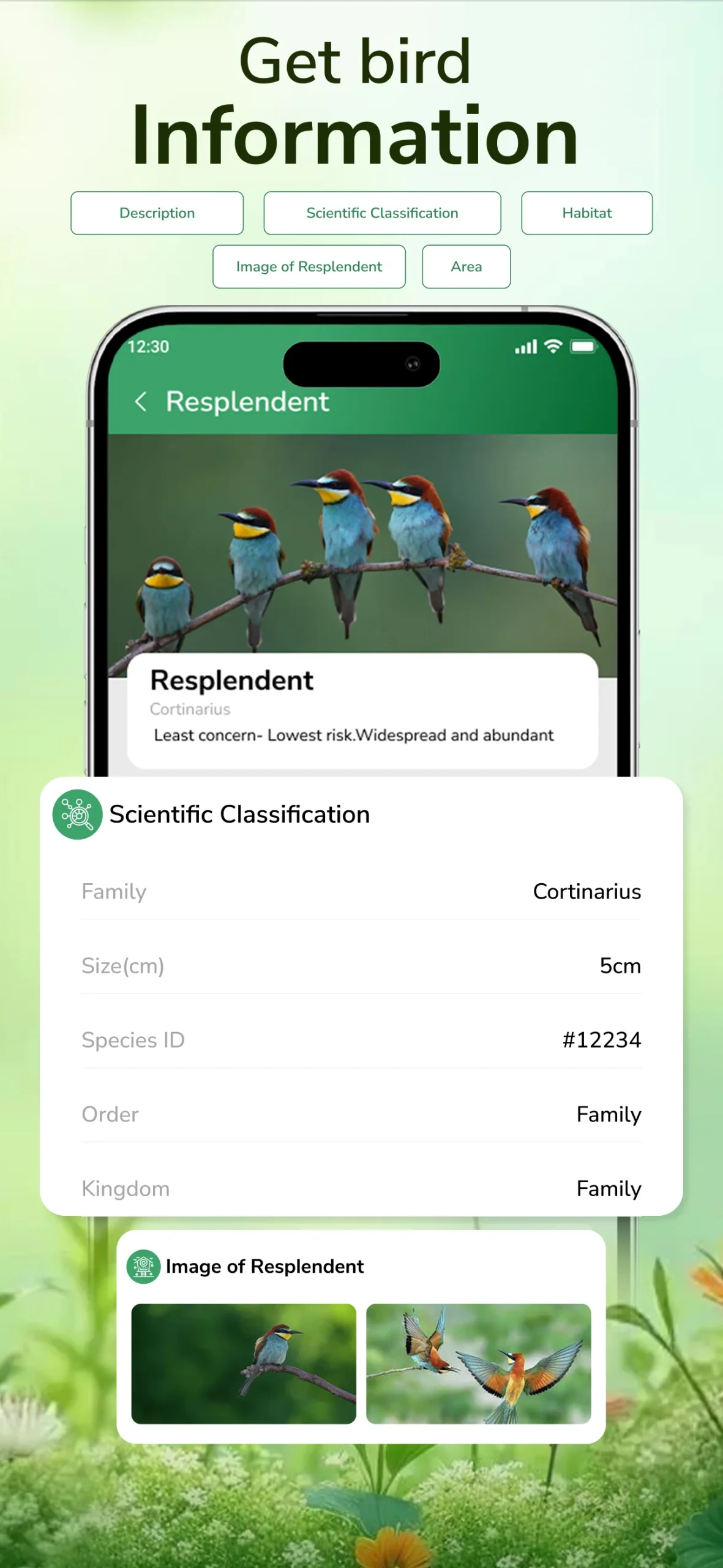 Bird Sounds & Bird Identifier screenshot 3