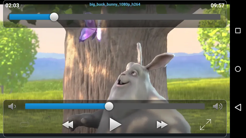 VLC Streamer screenshot 6