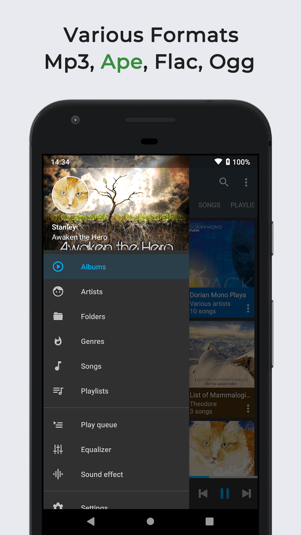 Omnia Music Player screenshot 3