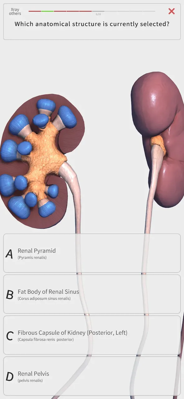 Visual Anatomy 3D screenshot 5