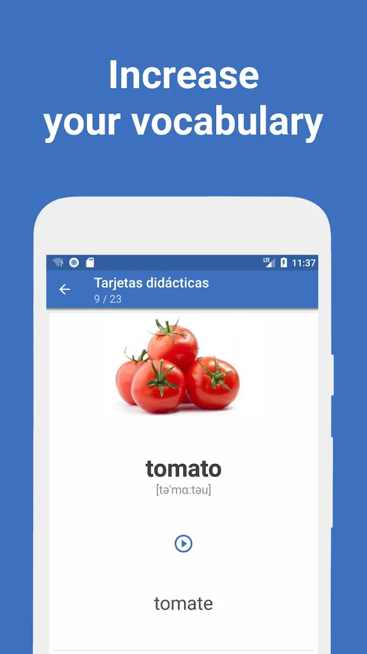 Words - Learn Languages screenshot 4