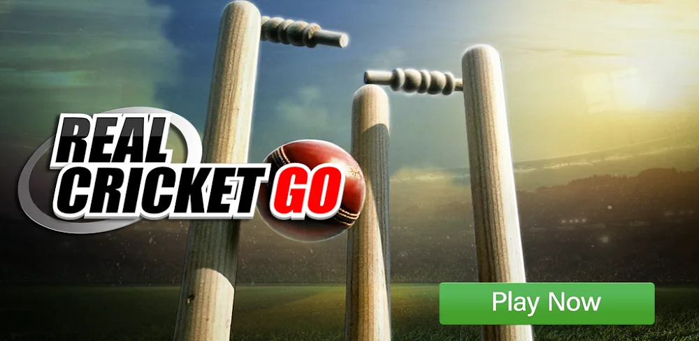Real Cricket™ GO screenshot 1