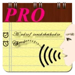 Voice Notes (Pro)