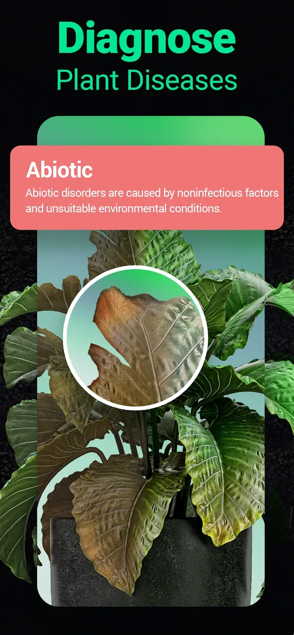 Plantum screenshot 3