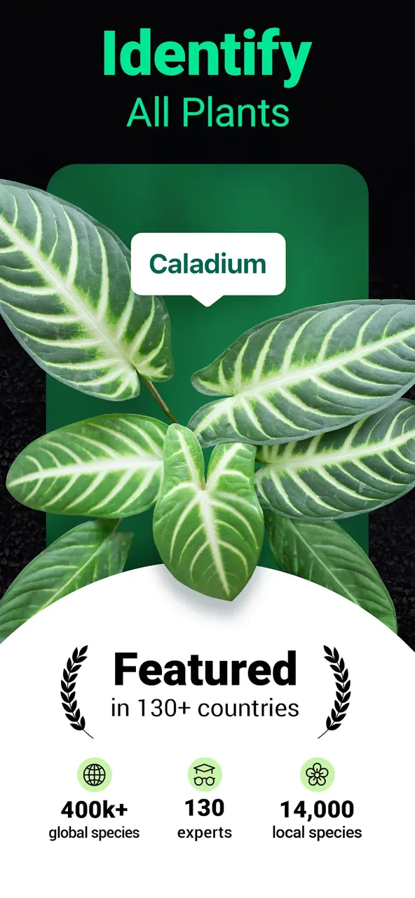 Plantum screenshot 2