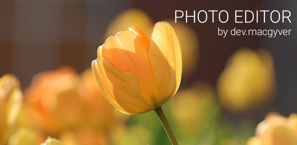 Photo Editor screenshot 1