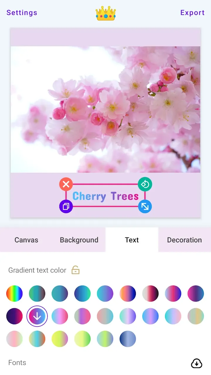 White Border: Square Fit Photo screenshot 4