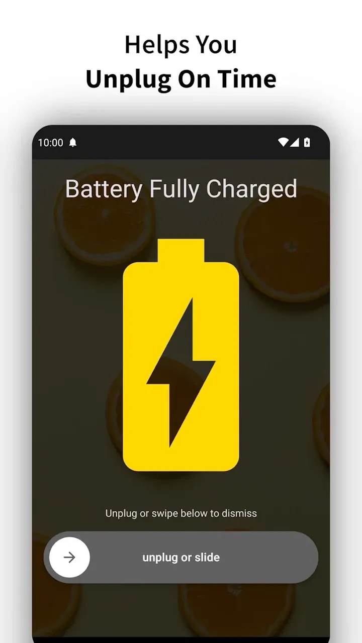 Full Battery Charge Alarm screenshot 4