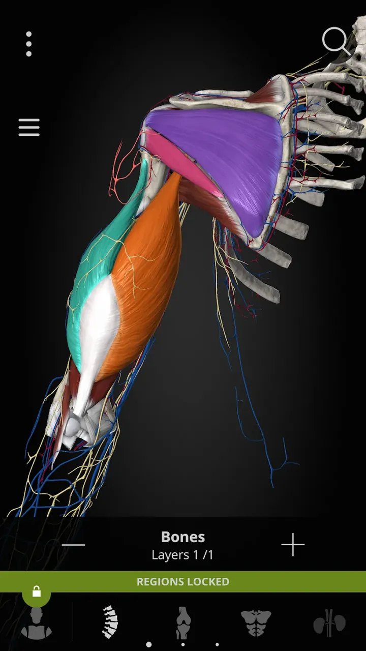 Anatomyka - 3D Anatomy Atlas screenshot 5