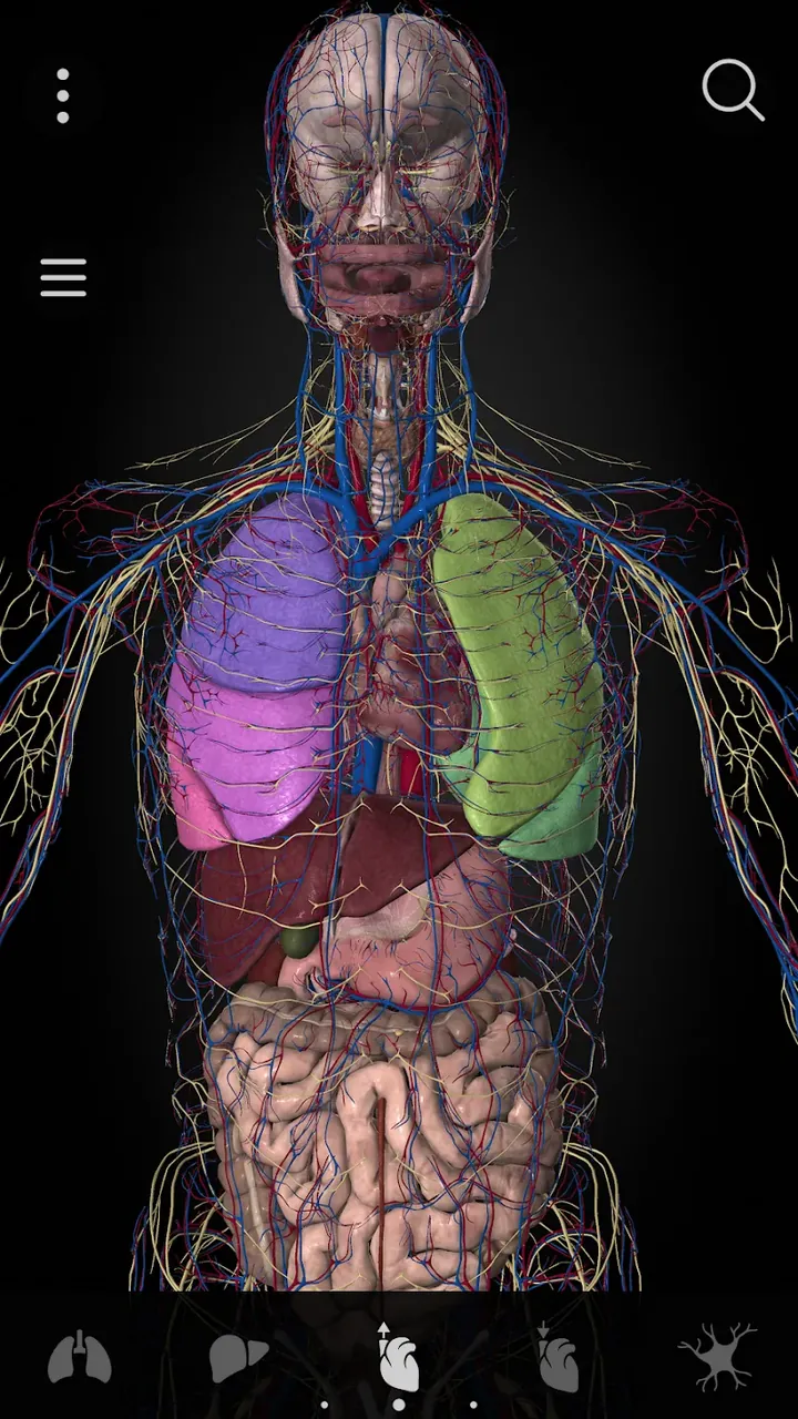 Anatomyka - 3D Anatomy Atlas screenshot 4