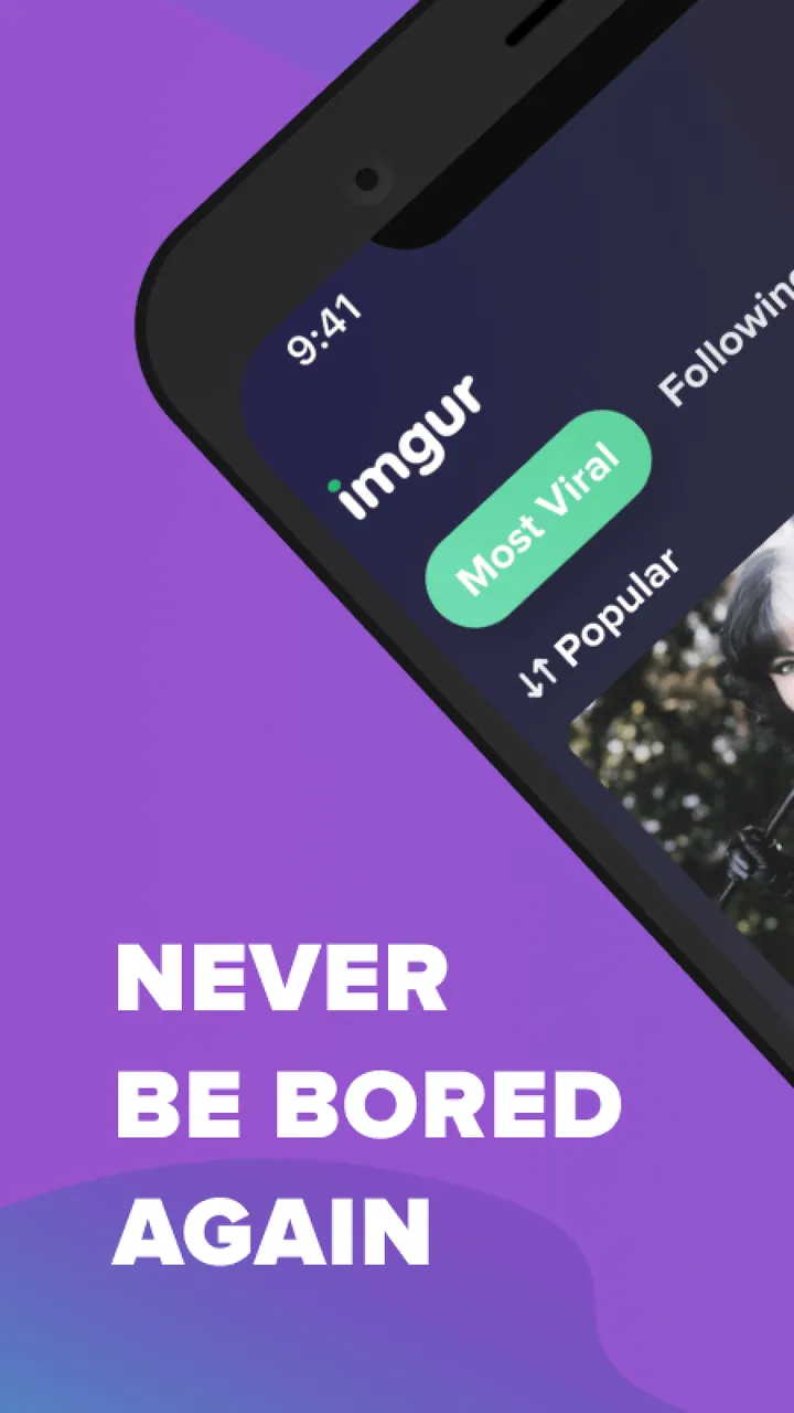 Imgur screenshot 2