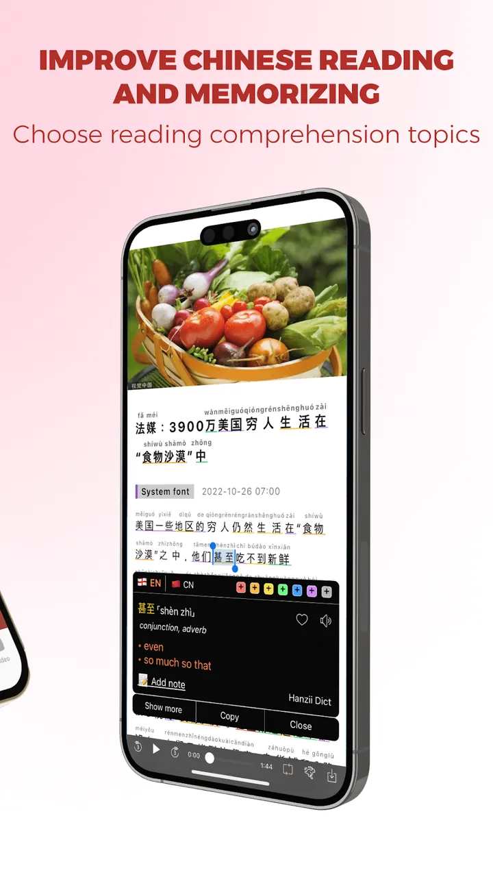 Todai Chinese screenshot 3