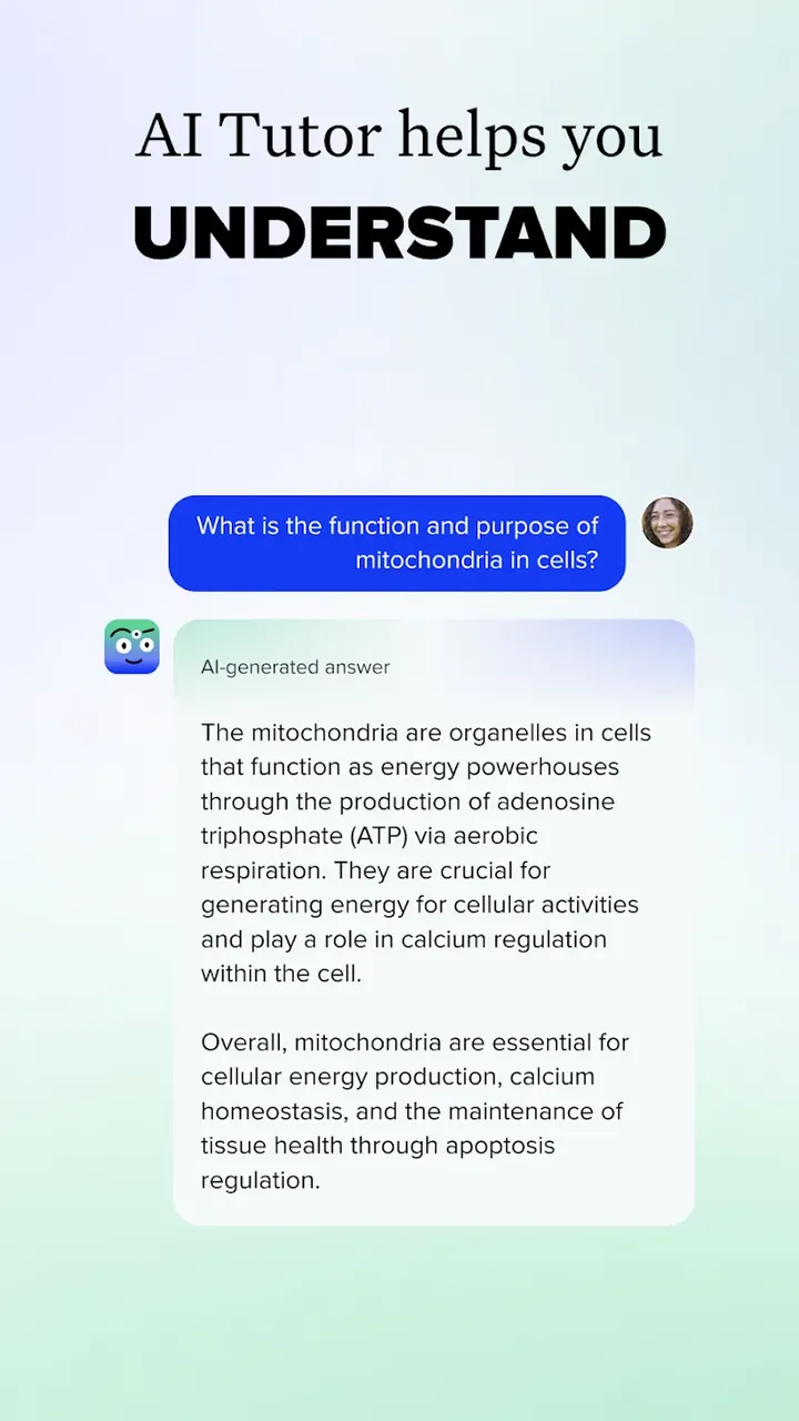 Brainly screenshot 3
