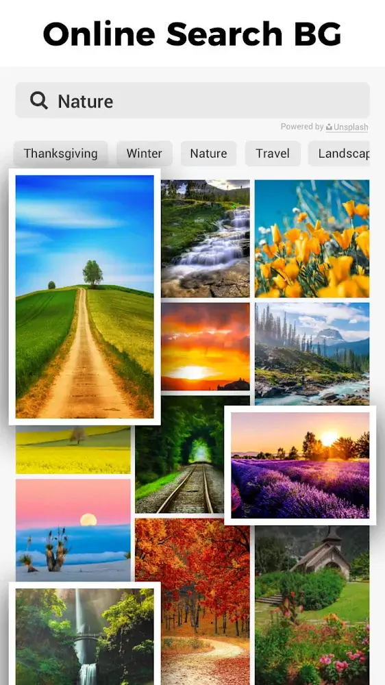 Background Eraser Photo Editor screenshot 4