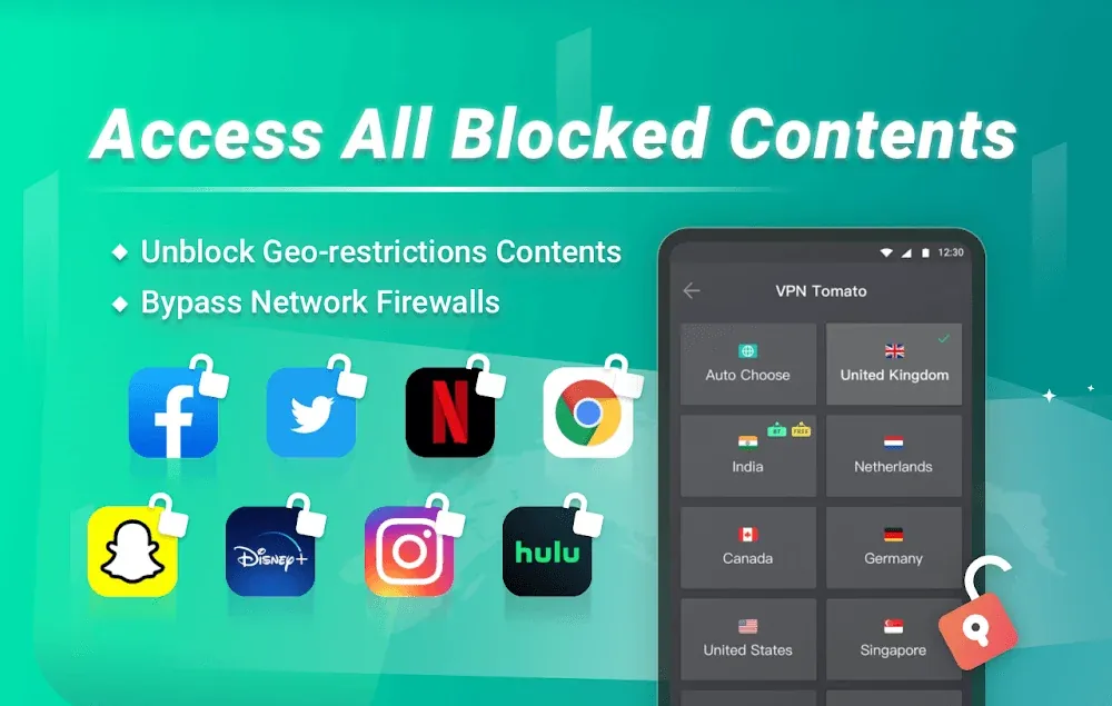 Tomato VPN screenshot 4