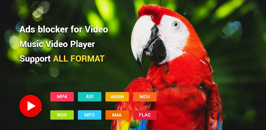 wTuber screenshot 1
